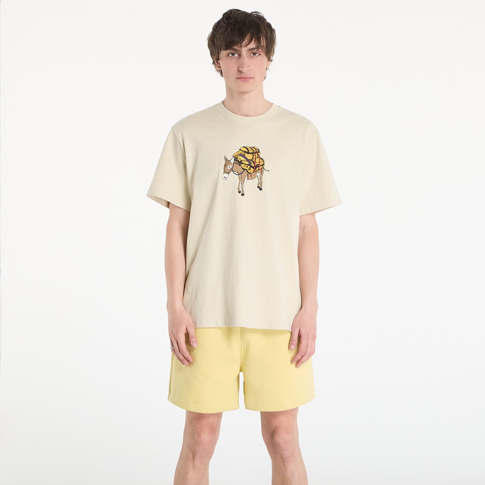 Tričko The North Face M Donkey Taxi Relaxed Short Sleeve Tee Graphic Desert Stone XL