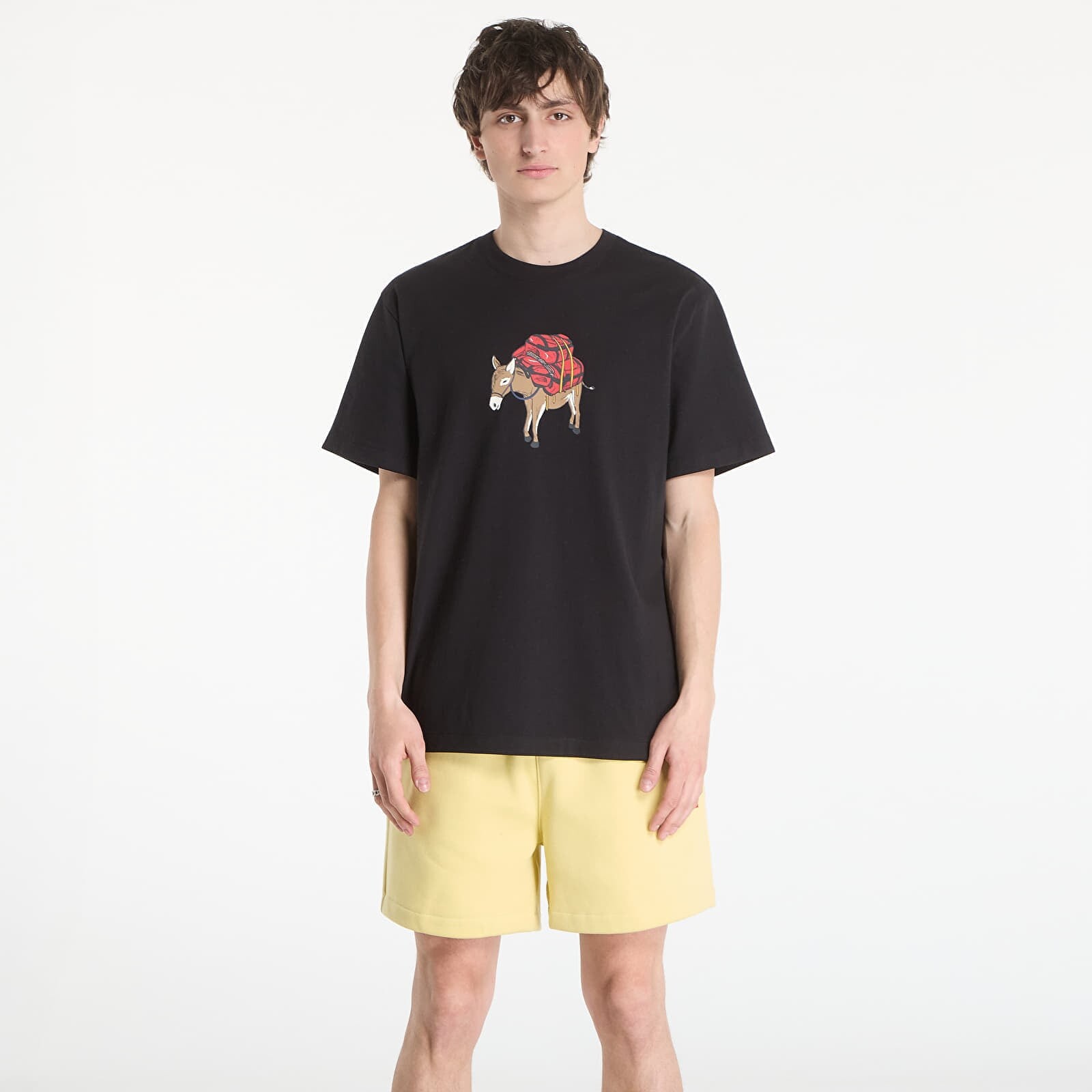 Tričko The North Face M Donkey Taxi Relaxed Short Sleeve Tee Graphic TNF Black M