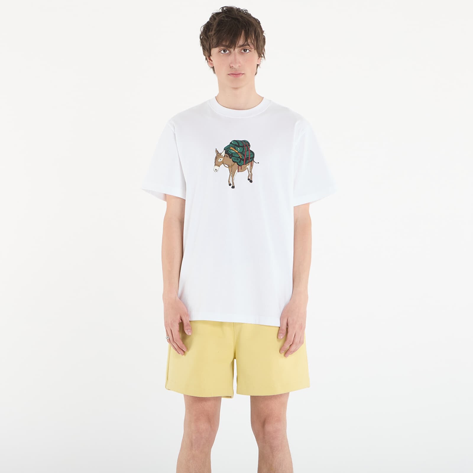 Tričko The North Face M Donkey Taxi Relaxed Short Sleeve Tee Graphic TNF White XL