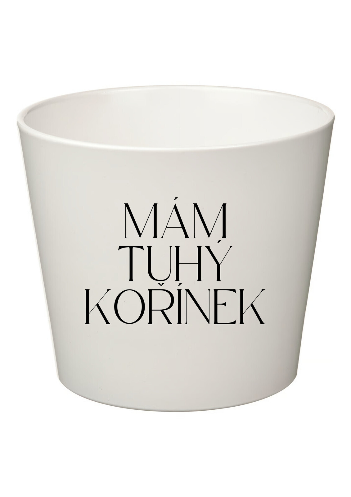 MÁM TUHÝ KOŘÍNEK - malý květináč