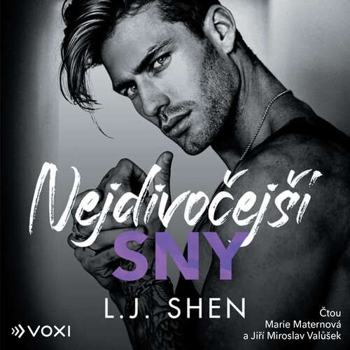 Nejdivočejší sny - L. J. Shen (mp3 audiokniha)