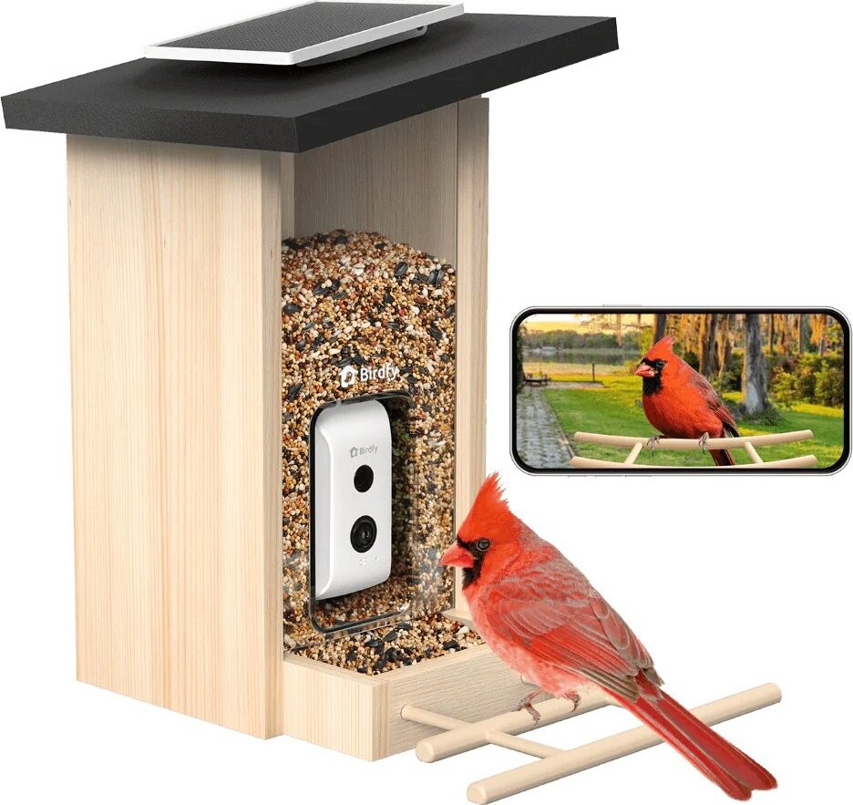 Birdfy Feeder Ebony – 7 dní AI zadarmo