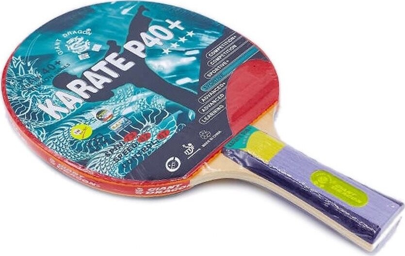Giant Dragon Karate P40+