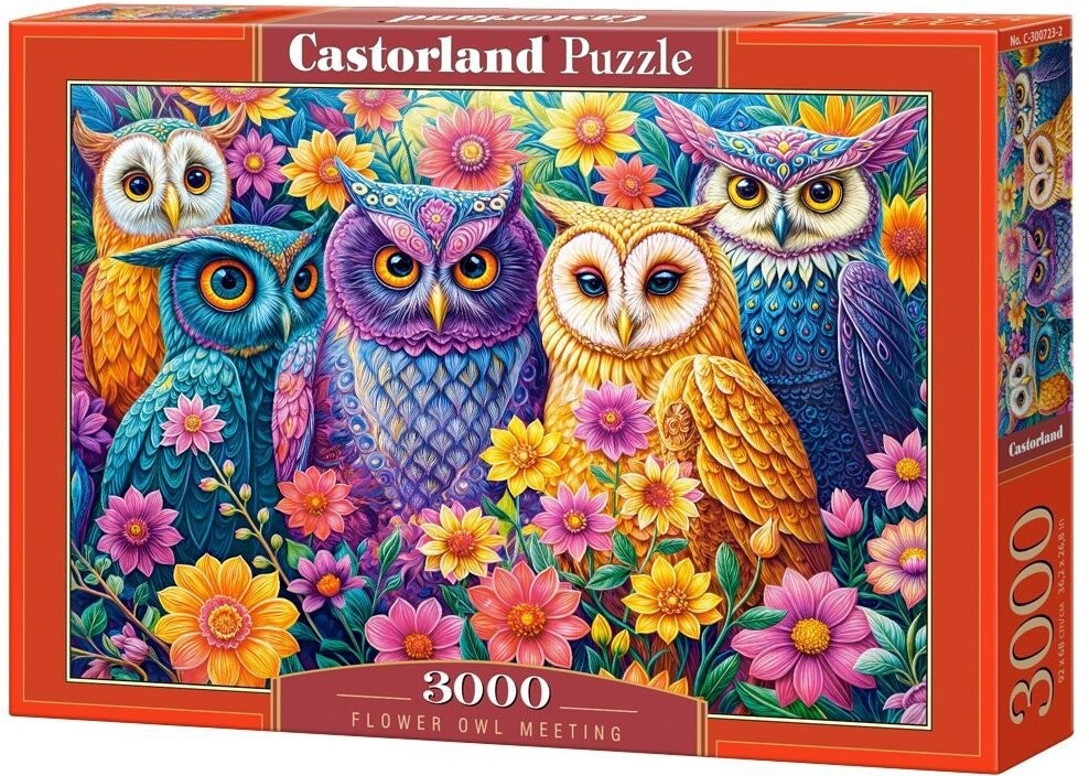 Castorland Soví setkání v květinách 3000 dílků