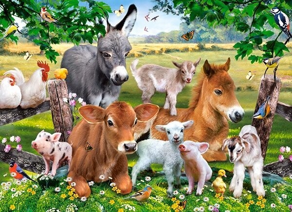 Castorland Na farmě 100 dílků
