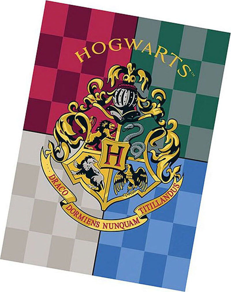 CARBOTEX Flísová deka 140 × 100 cm, Harry Potter – Hogwarts
