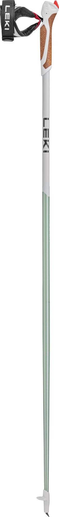Leki Passion smokegreen-white-dark anthracite 120 cm