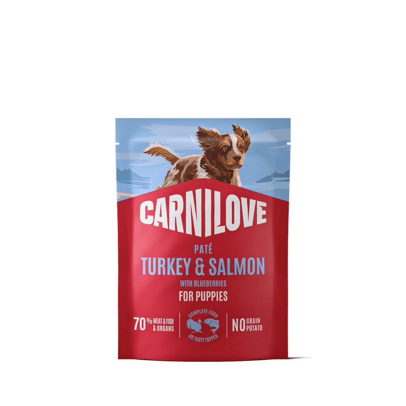 CARNILOVE Dog POUCH Paté Turkey & Salmon with Blueberries for Puppies 300 g