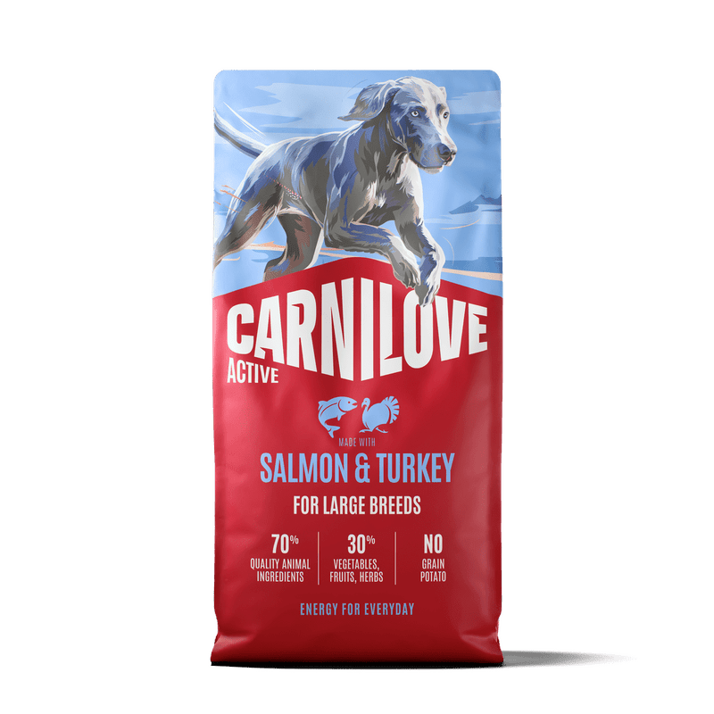 CARNILOVE ACTIVE Dog Dry Made with Salmon & Turkey for Adult Large Breeds