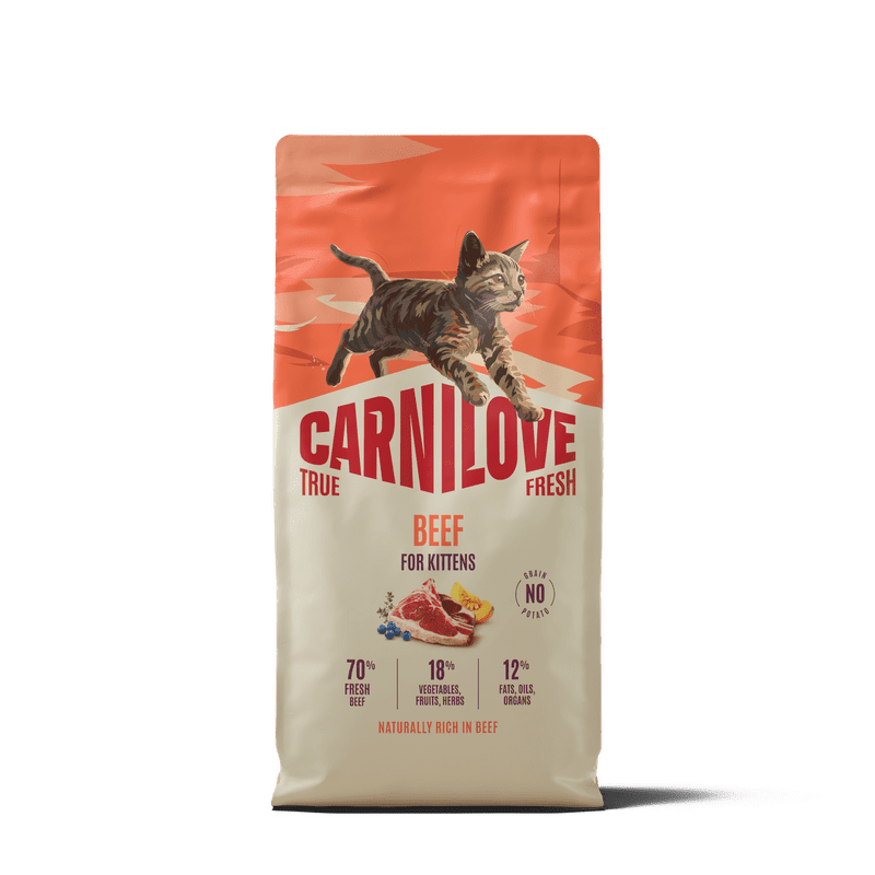 CARNILOVE TRUE FRESH Cat Dry Beef for Kittens