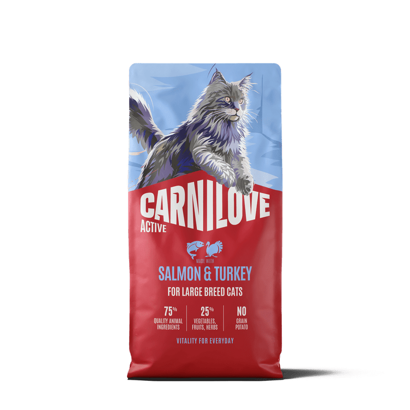 CARNILOVE ACTIVE Cat Dry Made with Salmon & Turkey for Adult Large Breeds