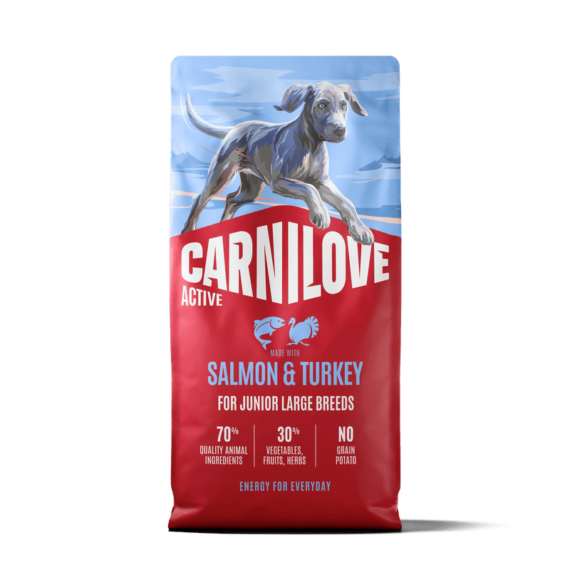 CARNILOVE ACTIVE Dog Dry Made with Salmon & Turkey for Junior Large Breeds