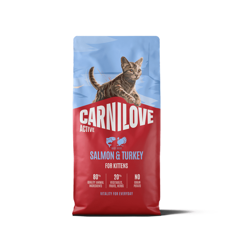 CARNILOVE ACTIVE Cat Dry Made with Salmon & Turkey for kittens