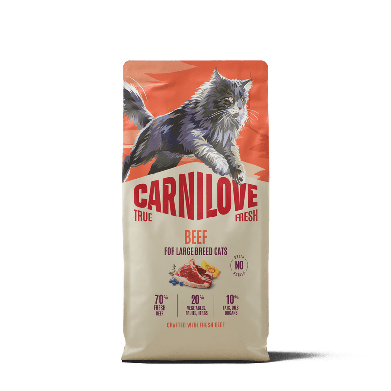 CARNILOVE TRUE FRESH Cat Dry Beef for Adult Large Breeds