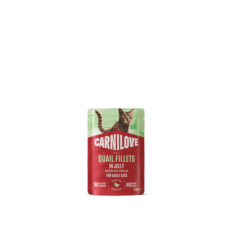 CARNILOVE Cat POUCH JELLY rich in Quail enriched with Dandelion 85 g