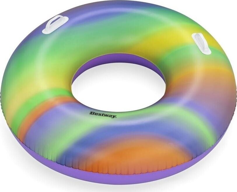 Bestway Kruh Rainbow Swim Tube 119 cm