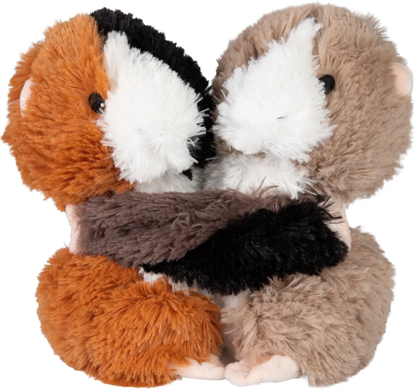 Hrejivé morčatá v páre