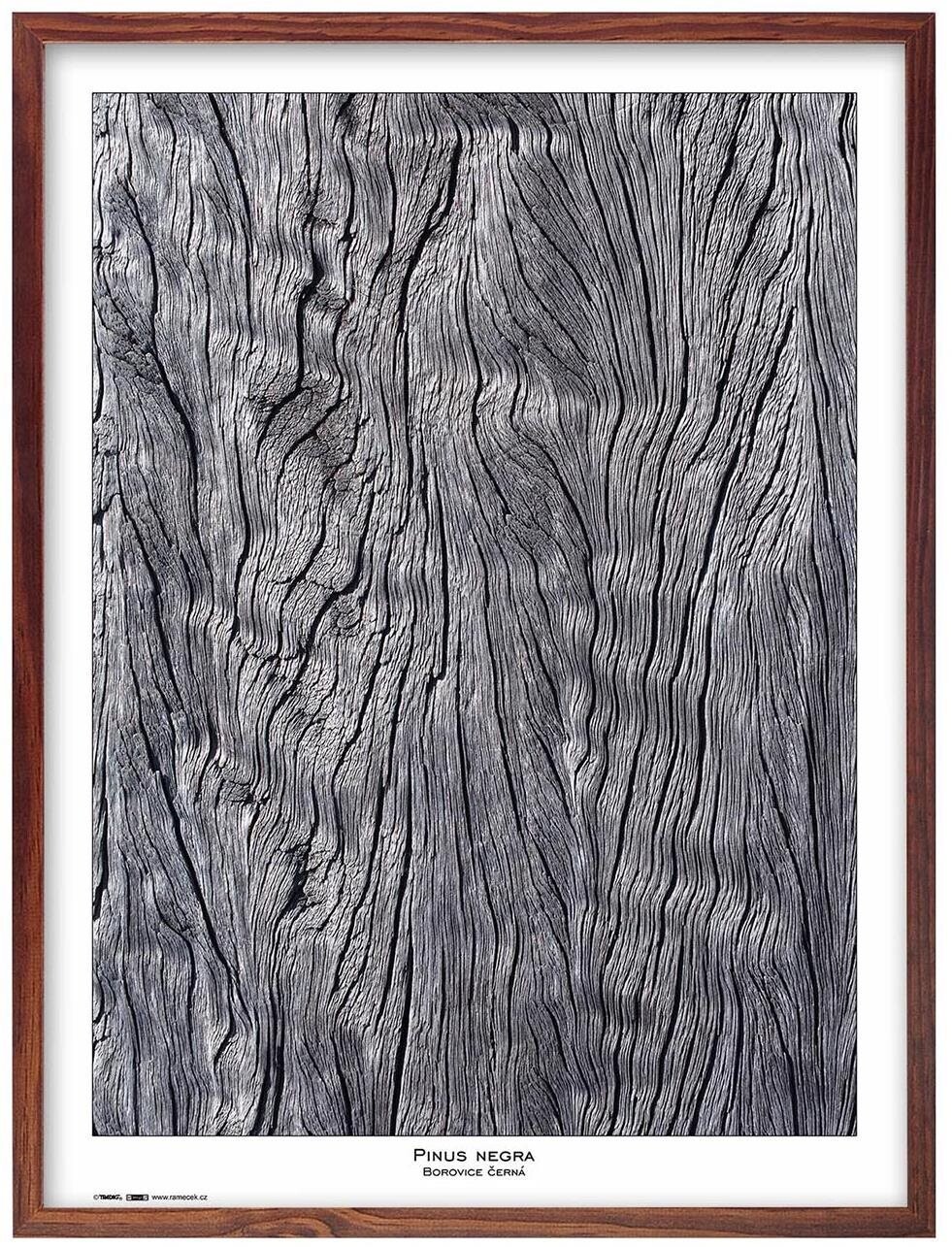 TRADAG Natura 60 x 80 hnědý