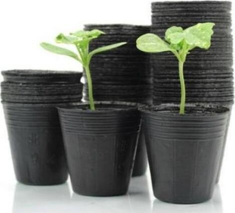 Garden Line Kvetináč sadbový 7,5 × 6,7 cm, 100 ks