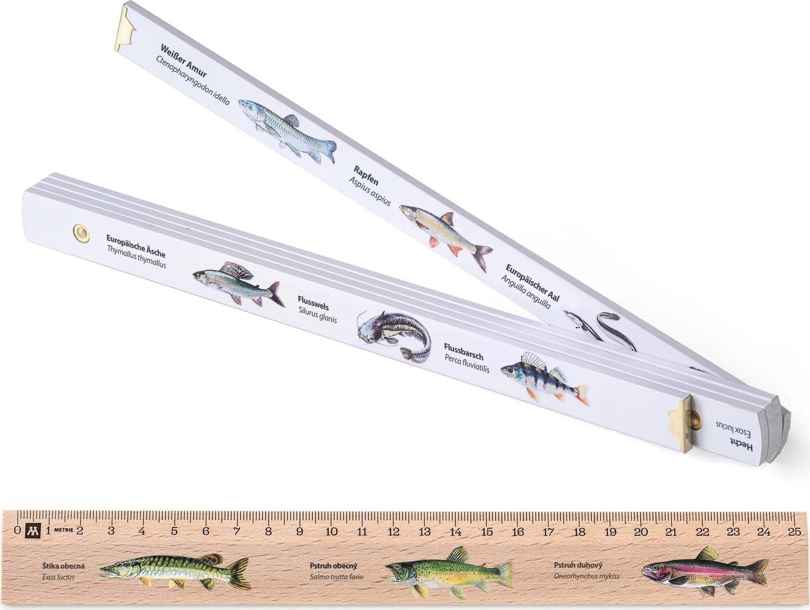 Metria Block 52 rybársky meter 1 m + drevené pravítko s motívom rýb 25 cm
