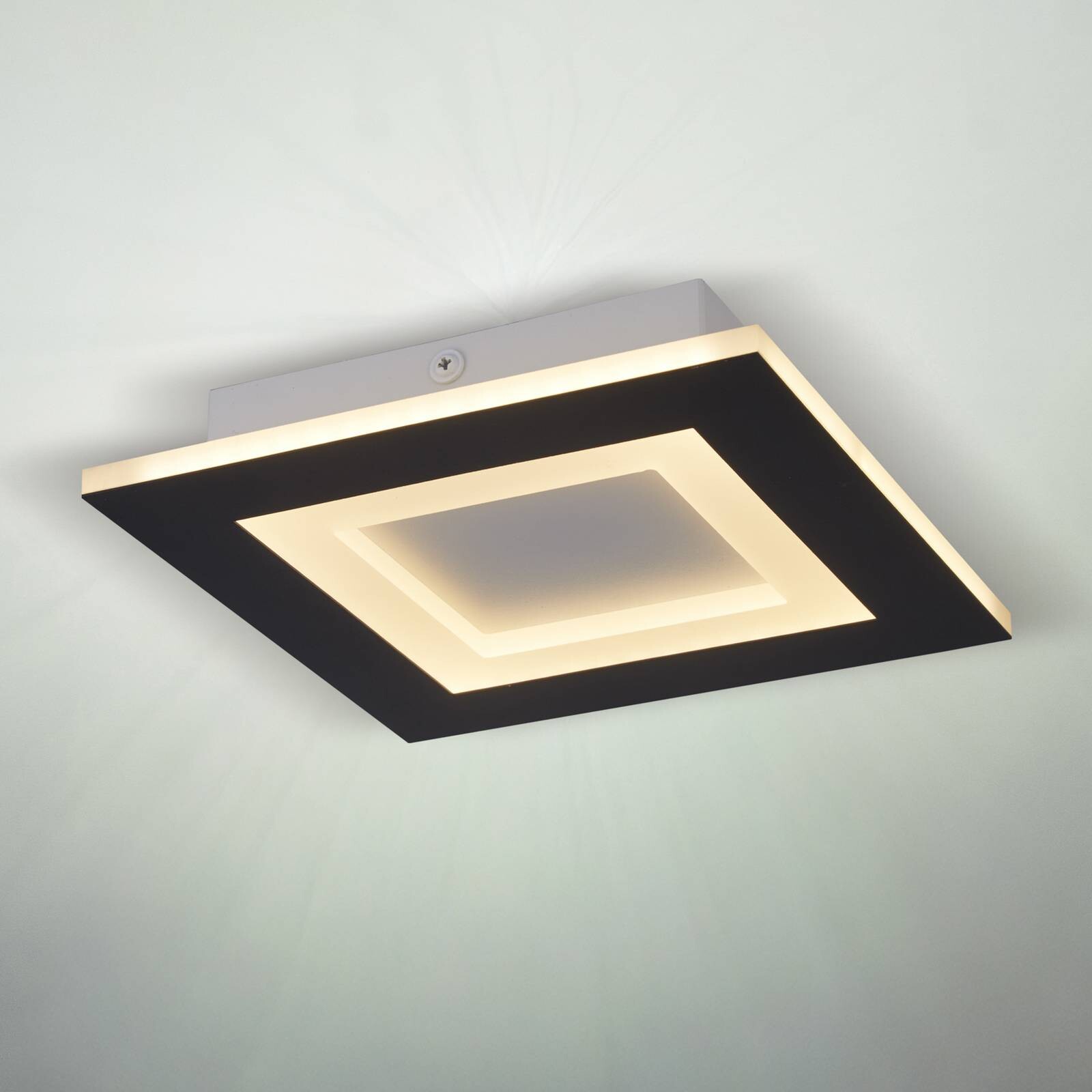 Stropné LED svetlo Squary, dĺžka 39 cm, čierno-biele železo, CCT