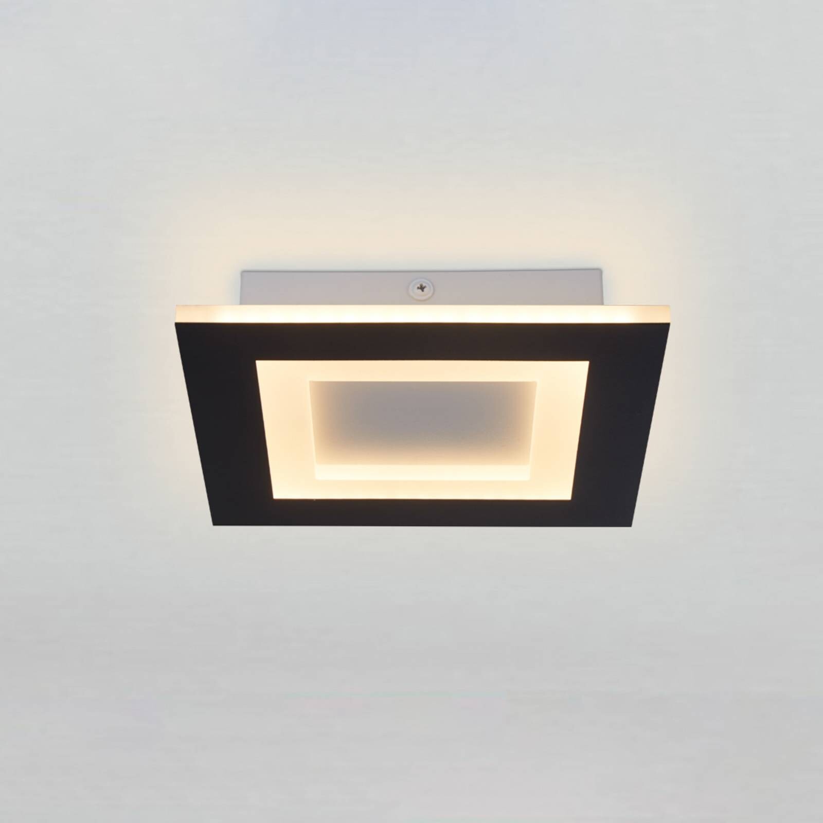Stropné LED svetlo Squary, dĺžka 25 cm, čierno-biele železo, CCT