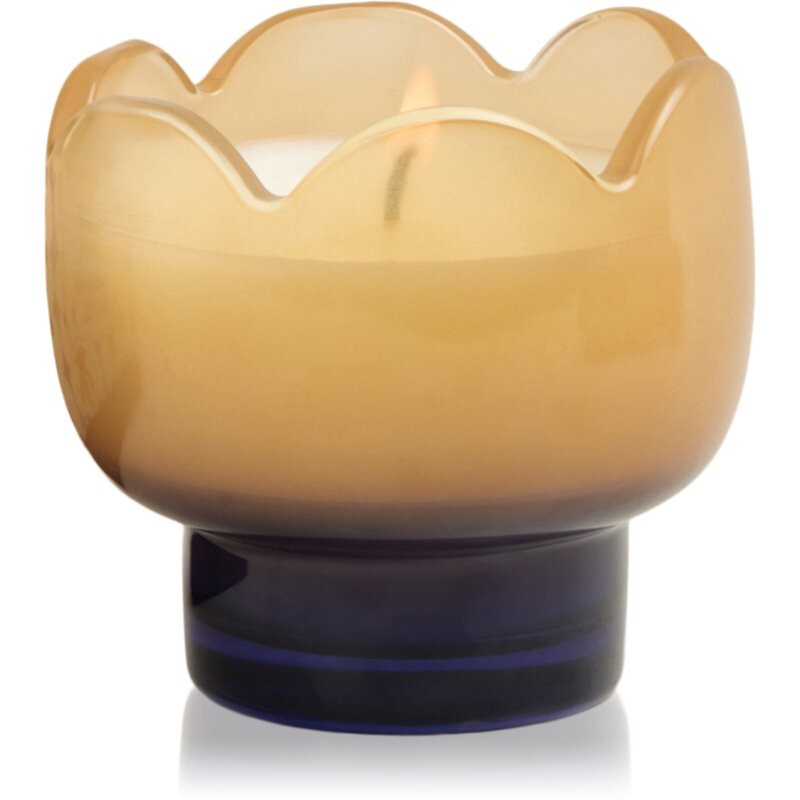 Paddywax Tulip Garden & Grove vonná sviečka 155 g