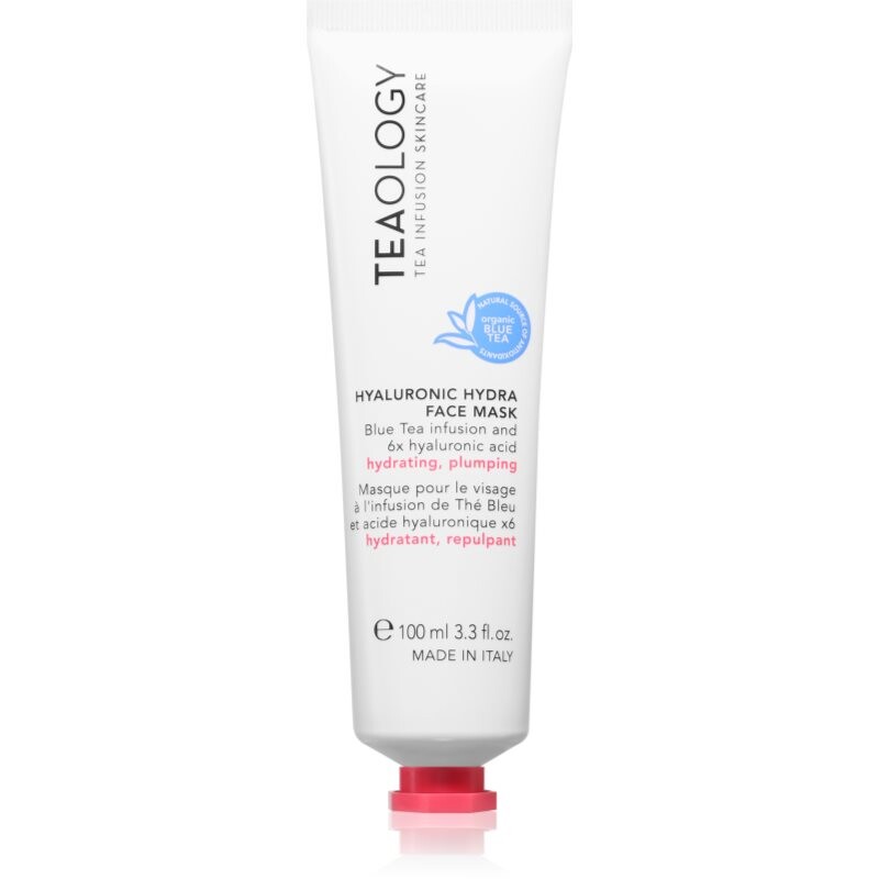 Teaology Hyaluronic Hydra Face Mask hĺbkovo hydratačná maska s kyselinou hyalurónovou 100 ml