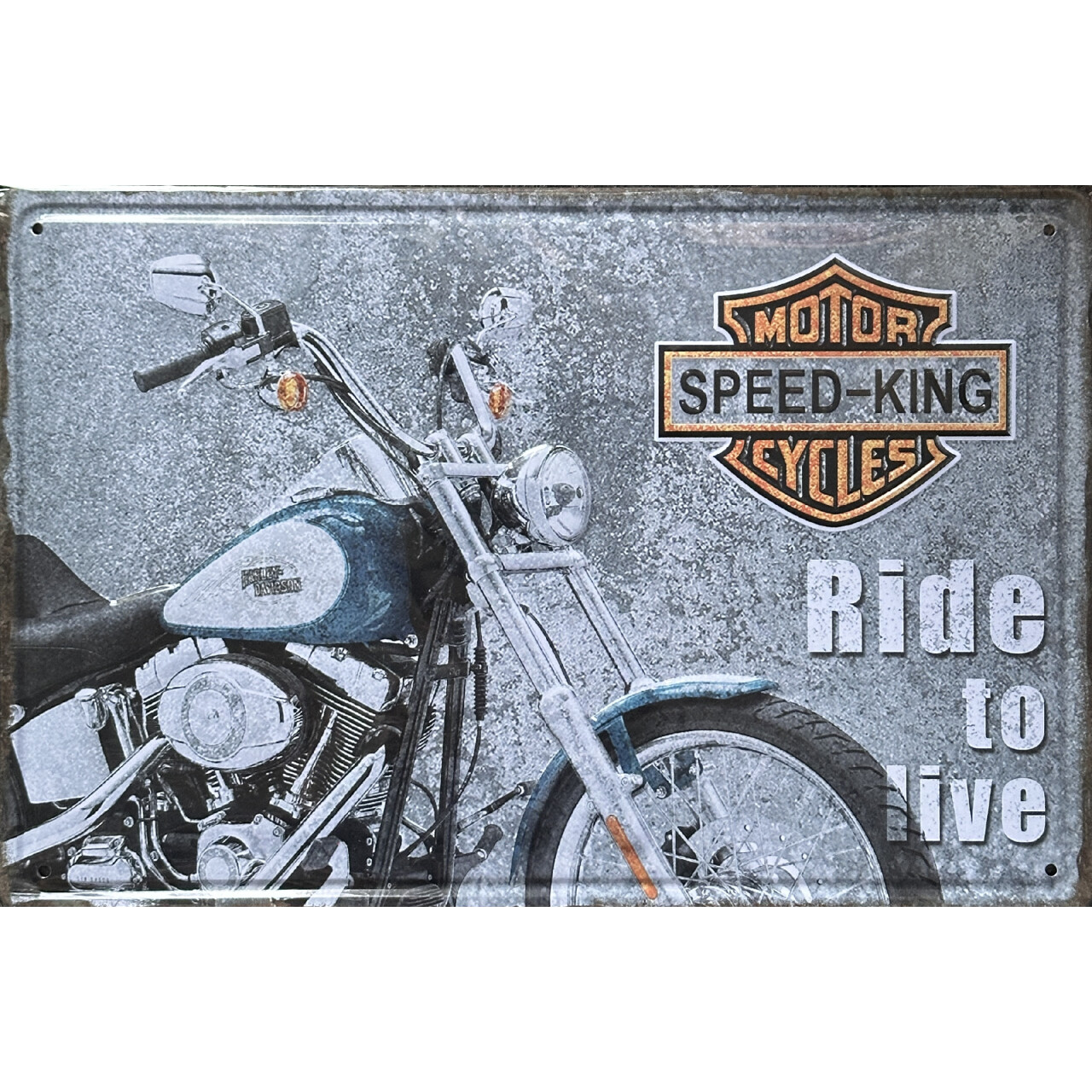 Ceduľa plechová Legal Life Ride to live 20x30cm - farebná