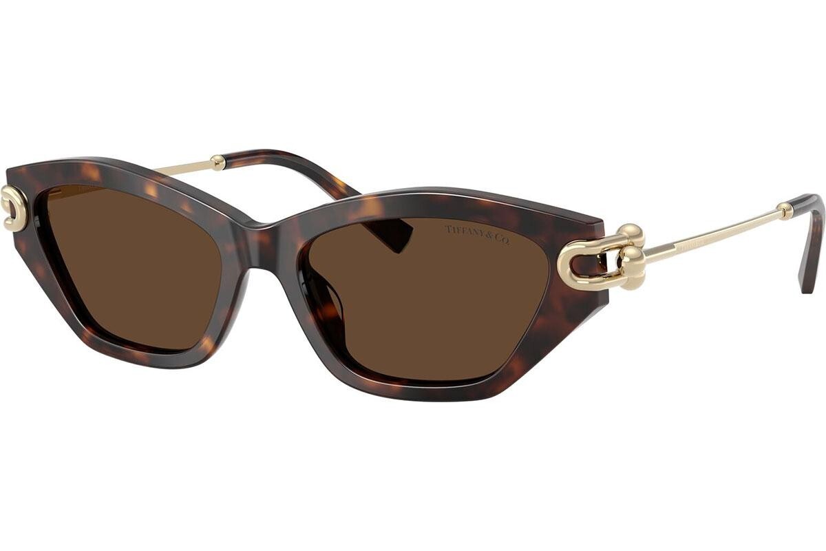 Tiffany & Co. TF4231U 80153G - ONE SIZE (53)