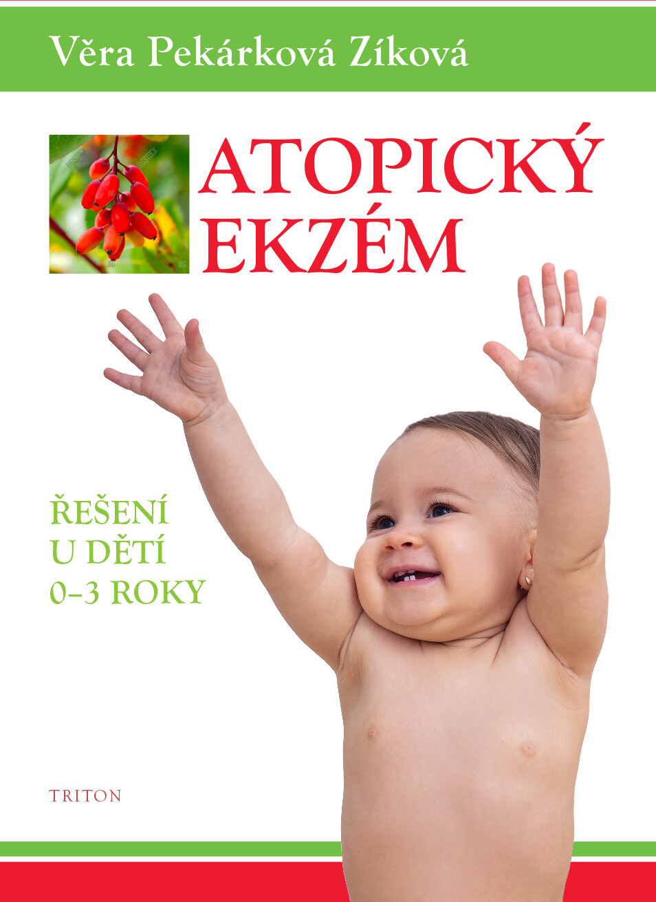 Atopický ekzém