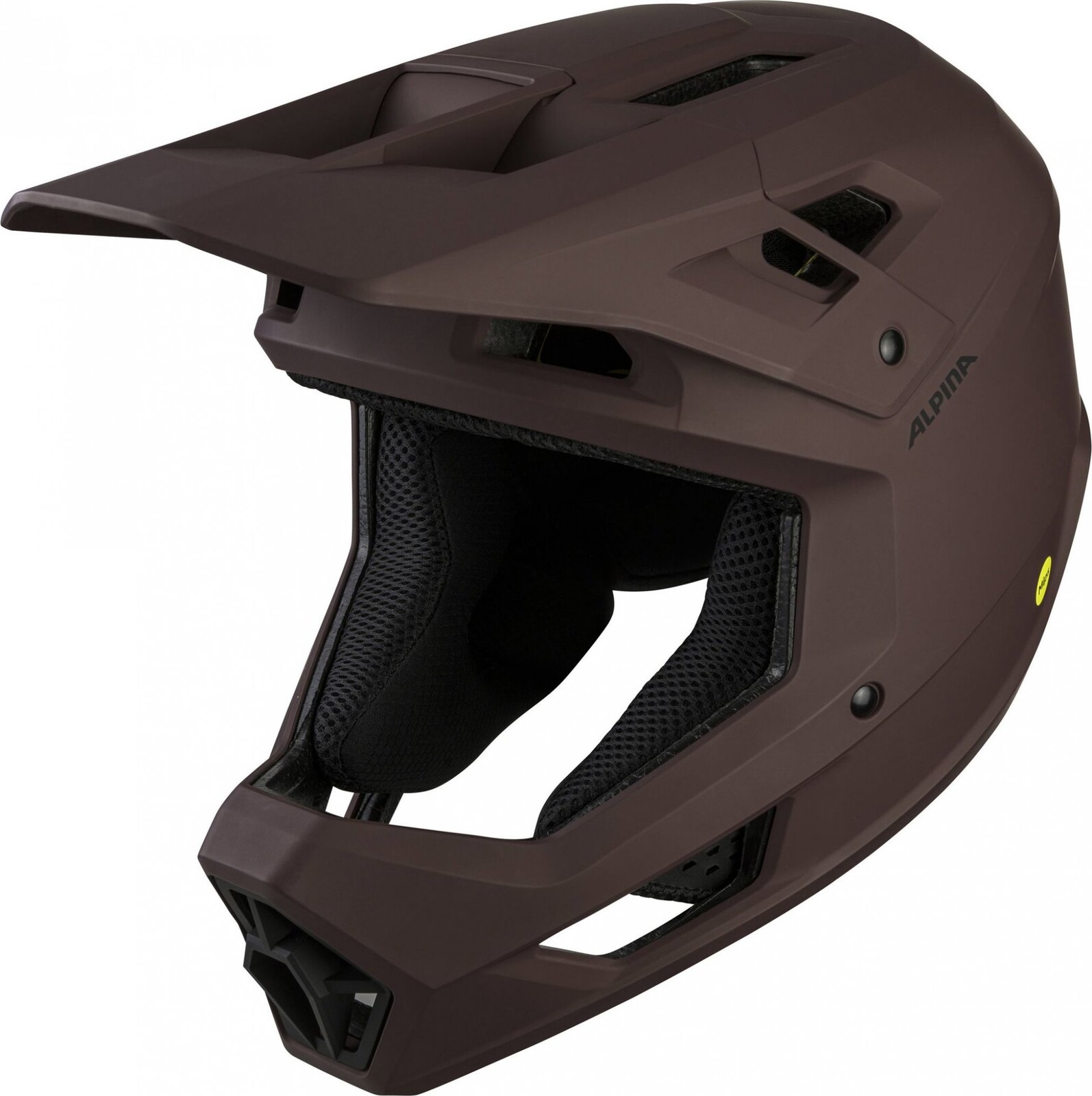 Alpina Pikes MIPS ox matt M