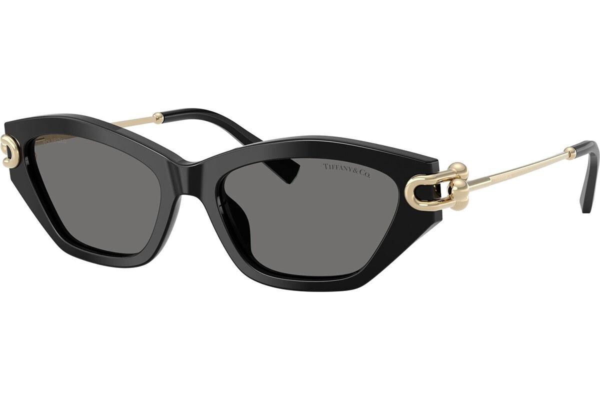 Tiffany & Co. TF4231U 800181 Polarized - ONE SIZE (53)