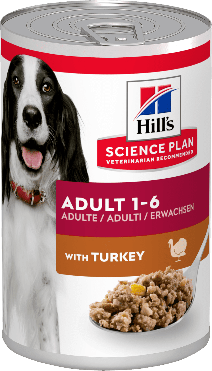 Hill's Science Plan Adult - morčacie (12 x 370 g)