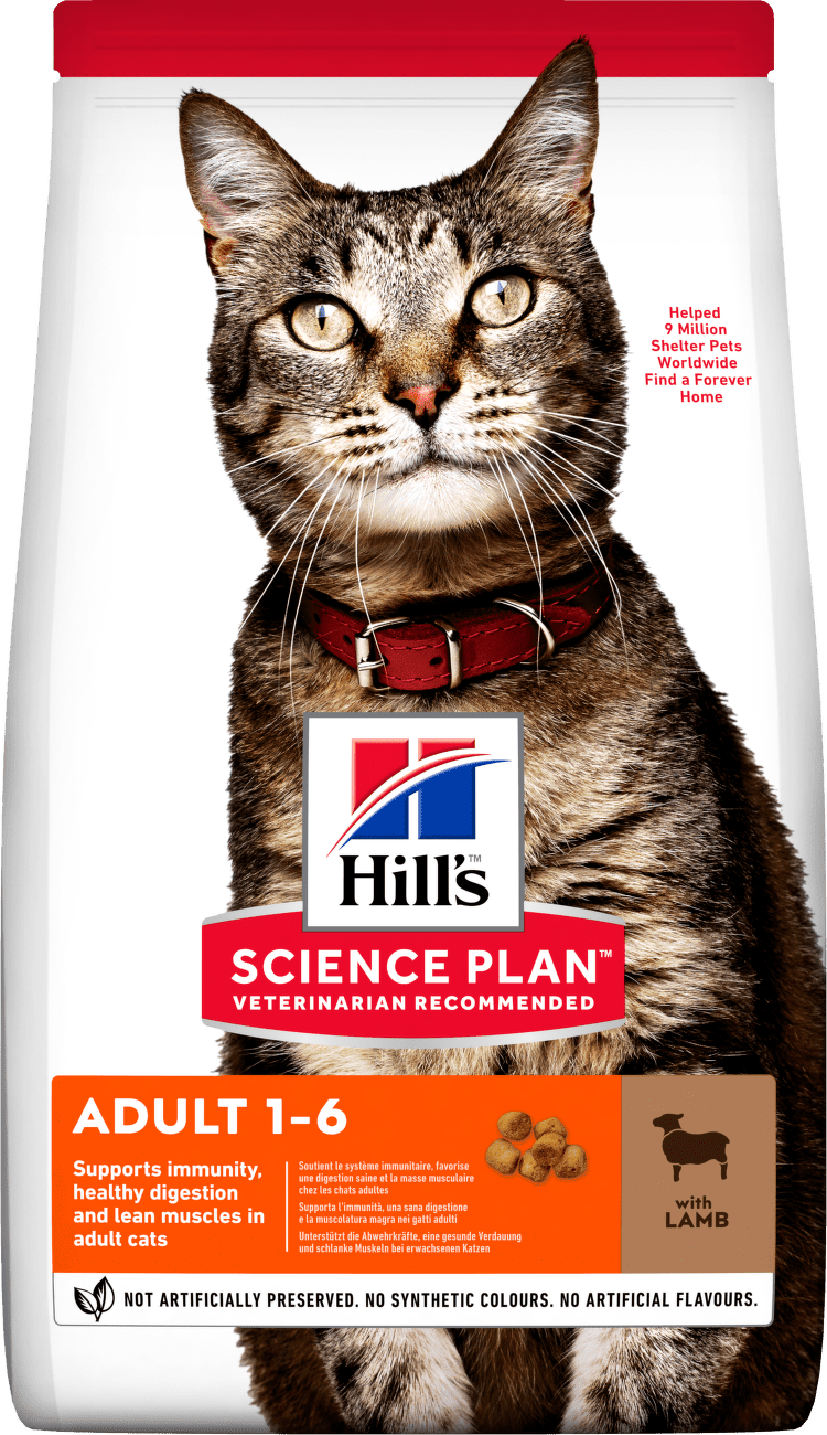 Hill's Science Plan Adult Lamb & Rice - 10 kg