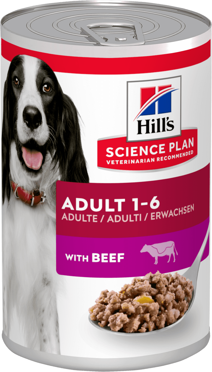 Hill's Science Plan Adult - hovädzie (24 x 370 g)