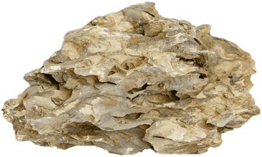 Rataj Dragon rock Kameň, M 15-25 cm