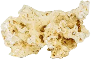 Rataj Tanganika Kameň, L  25-35 cm