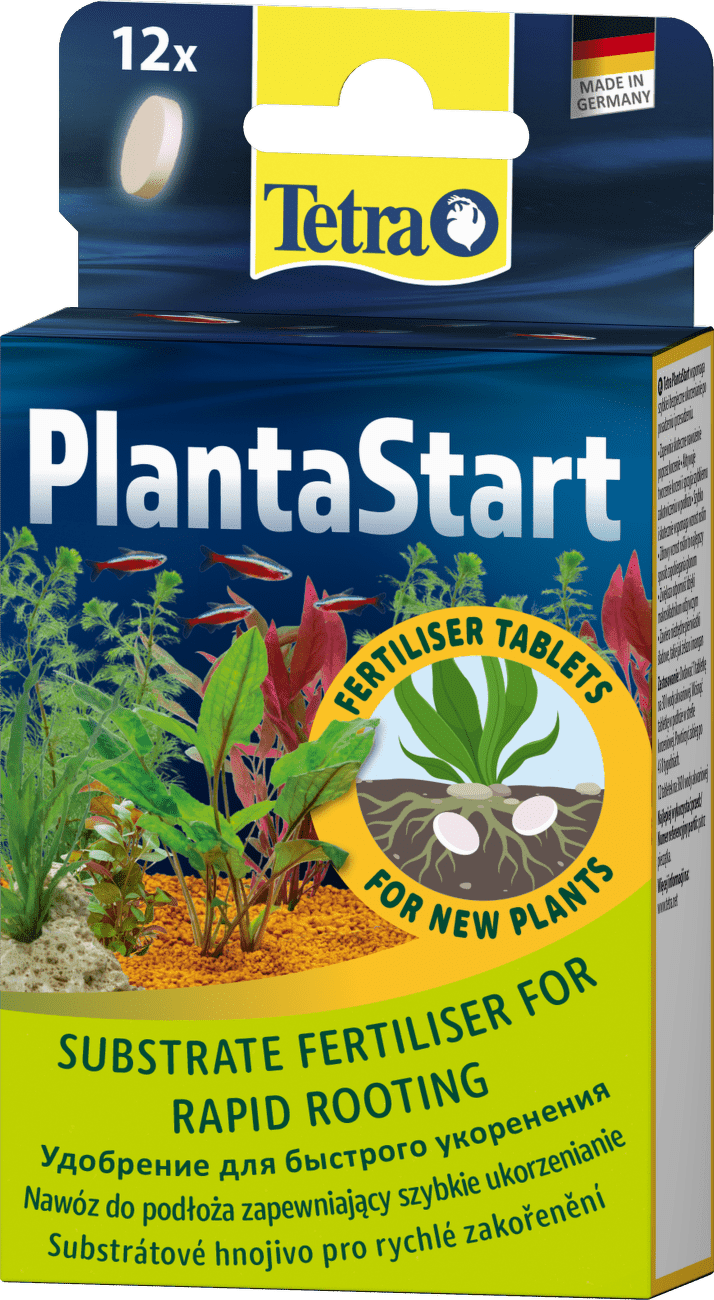 TETRA Plant Planta Start 12tabliet
