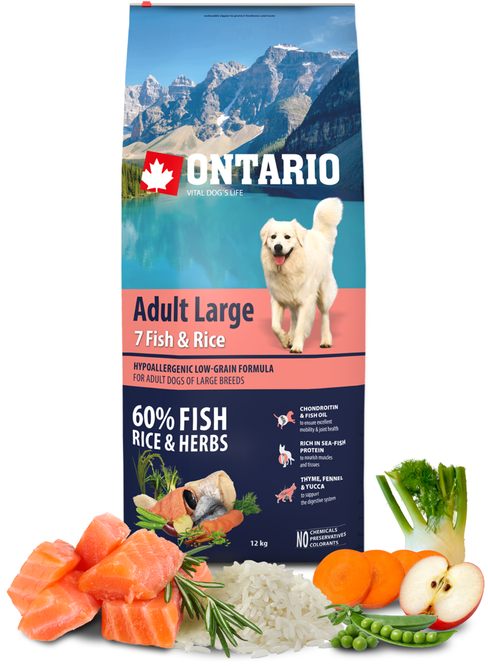 Ontario granuly Adult Large ryba a ryža 12 kg