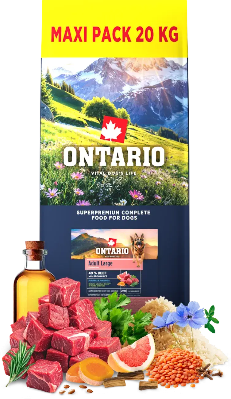 Ontario Adult Large Beef & Brown Rice 20kg