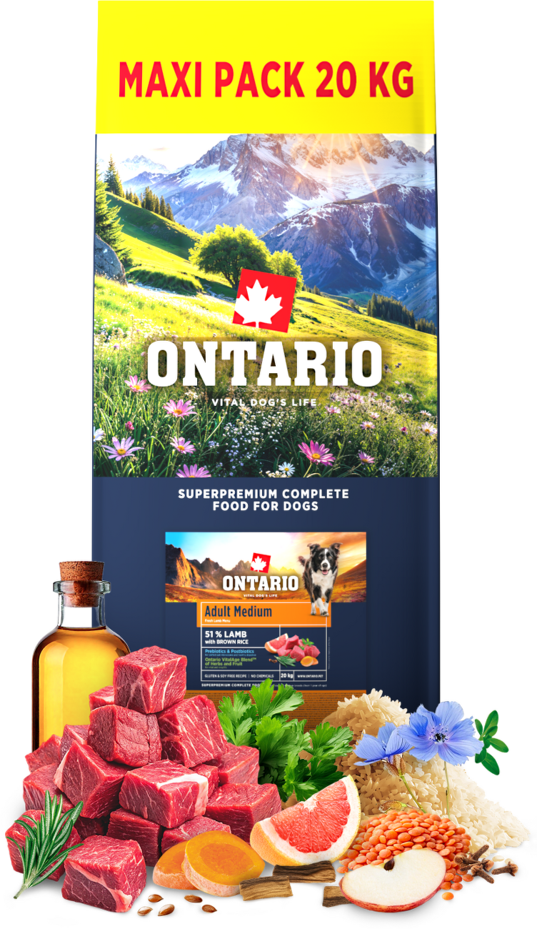Ontario Adult Medium Lamb & Brown Rice 20kg
