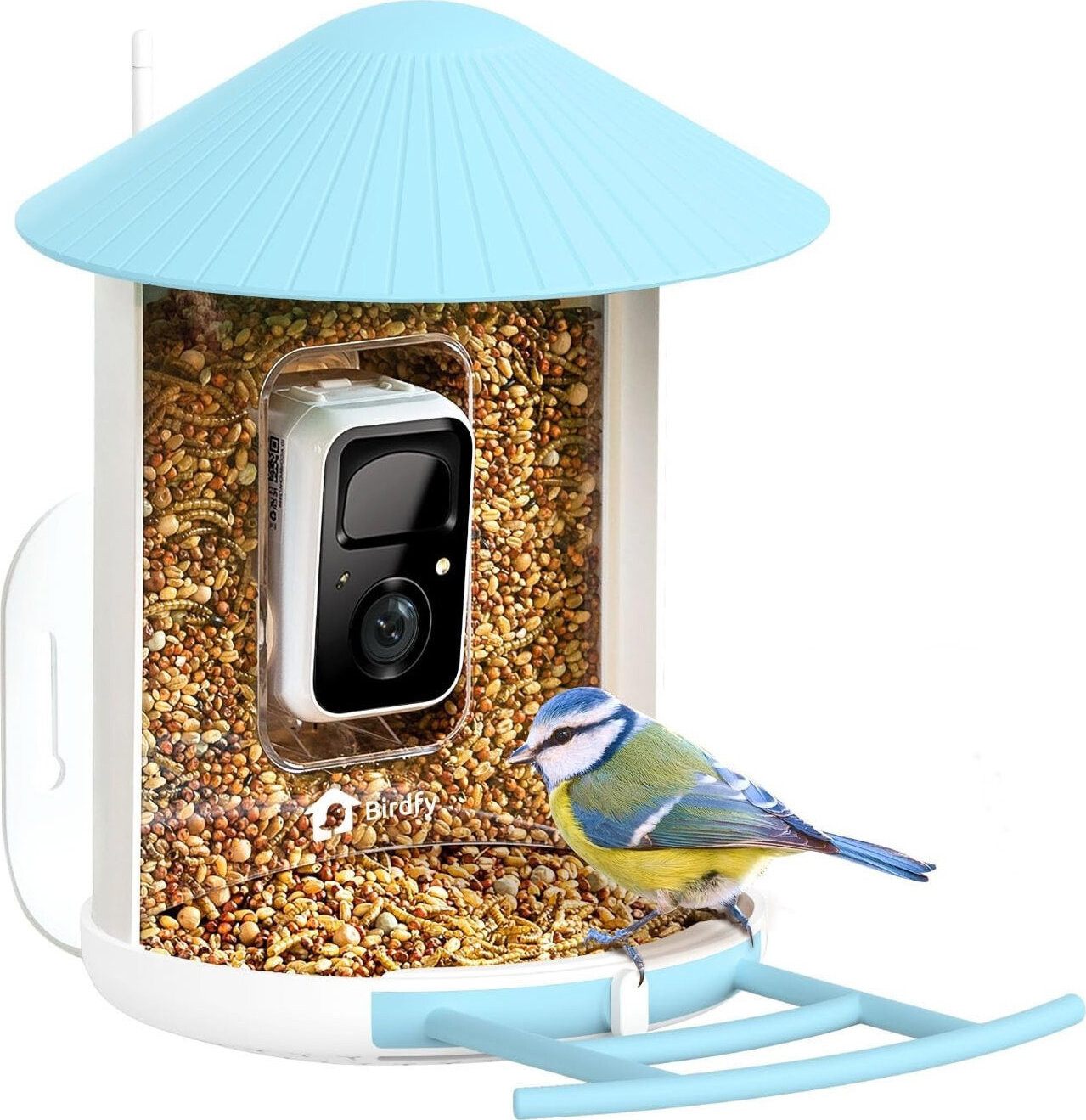 Birdfy Feeder – doživotná AI zadarmo