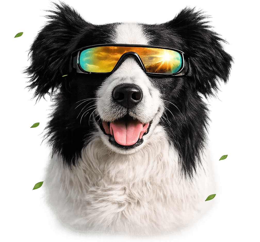 Okuliare pre psov M-Pets Sunbather