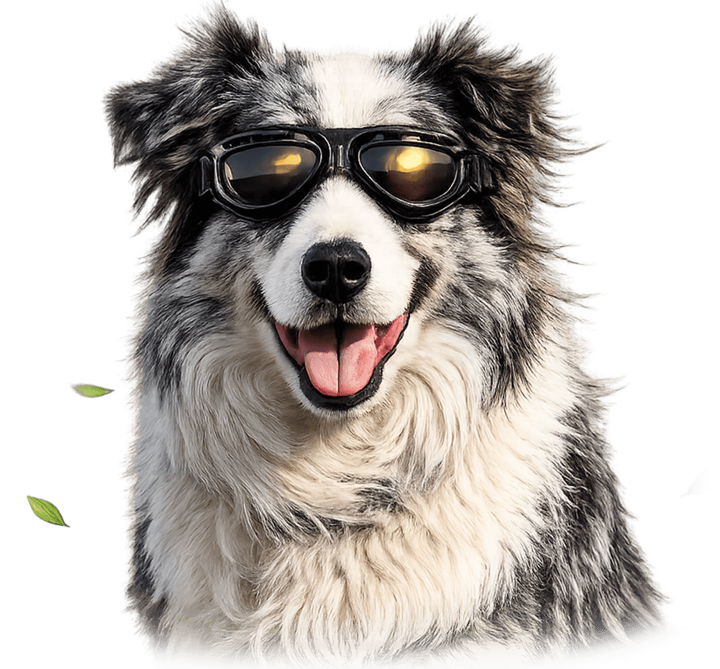 Okuliare pre psov M-Pets Trailblazer