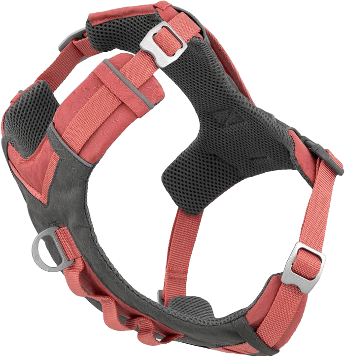 Postroj Kurgo Journey Air L Coral