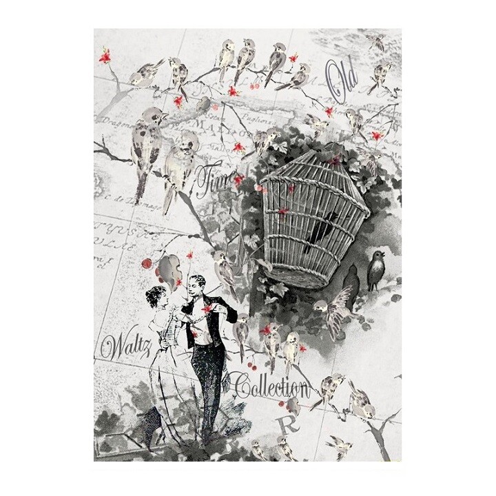 Ryžový papier Cadence A3 – Waltz Collection