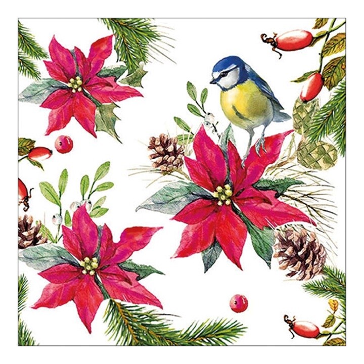 Eko servítky na dekupáž Bird on Poinsettia - 1ks