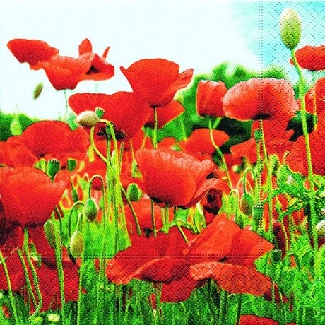 Servítky na DEKUPÁŽ - Field of poppies - 1 ks