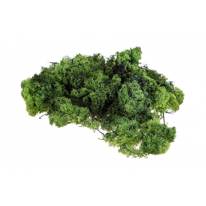 Stabilizovaný islandský lišajník 500g - rôzne farby